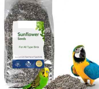 Sunflower Seeds for Bird (500G)